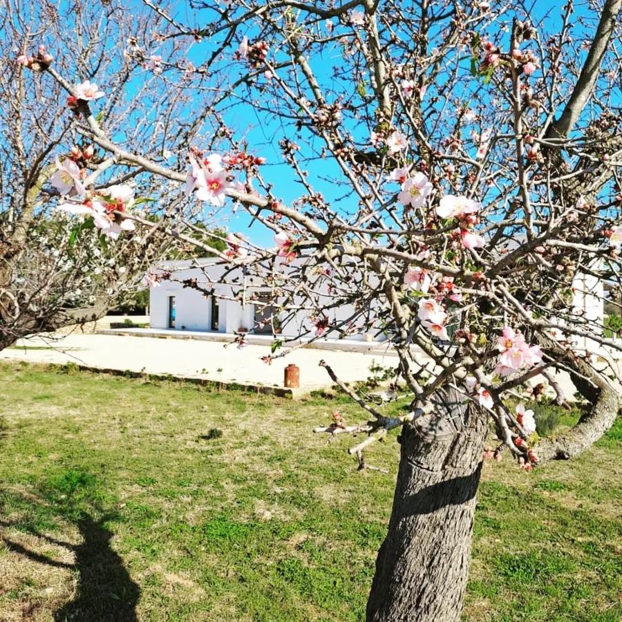 Casina Pompiliano Apartment Nardò Exterior foto
